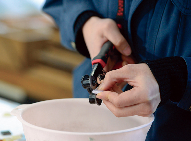 Using glass mosaic nippers, we break each piece and arrange them on top of the full-scale sketch.